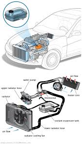See C2239 repair manual